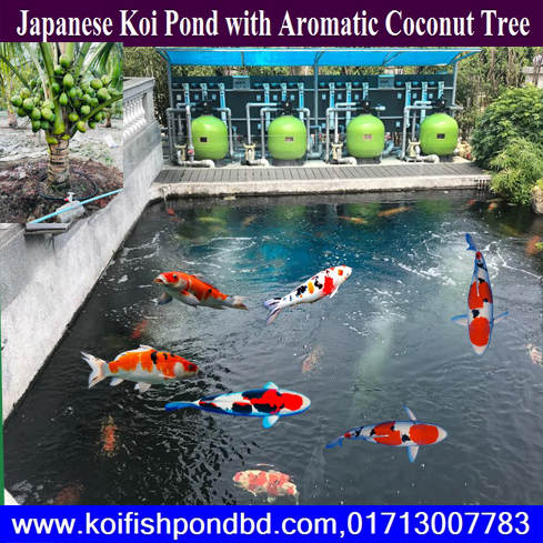 Aquarium pond filter online