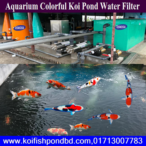 OSMOSIA:: Aquarium Koi Pond Water Filtration System in Dhaka Bangladesh ...